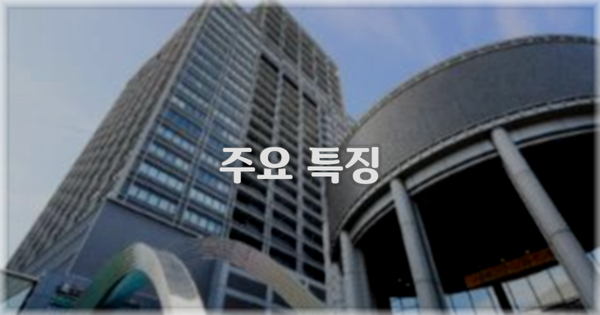 ✨ 주요 특징