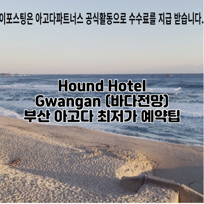 Hound Hotel Gwangan (바다전망) 부산 아고다 최저가 예약팁