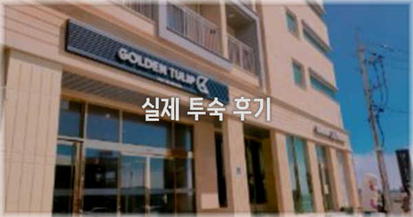 💬 실제 투숙 후기