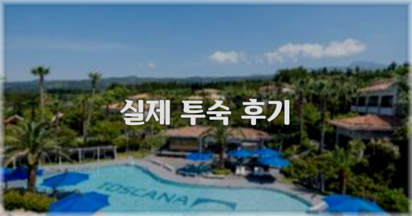 💬 실제 투숙 후기