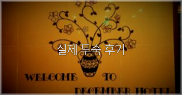 💬 실제 투숙 후기