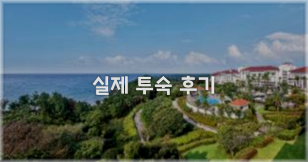 💬 실제 투숙 후기