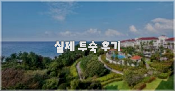 💬 실제 투숙 후기