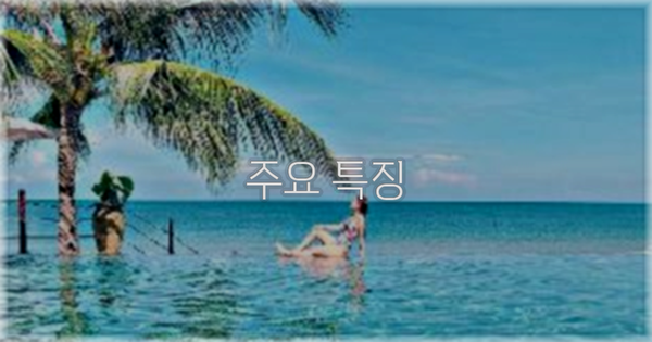 ✨ 주요 특징
